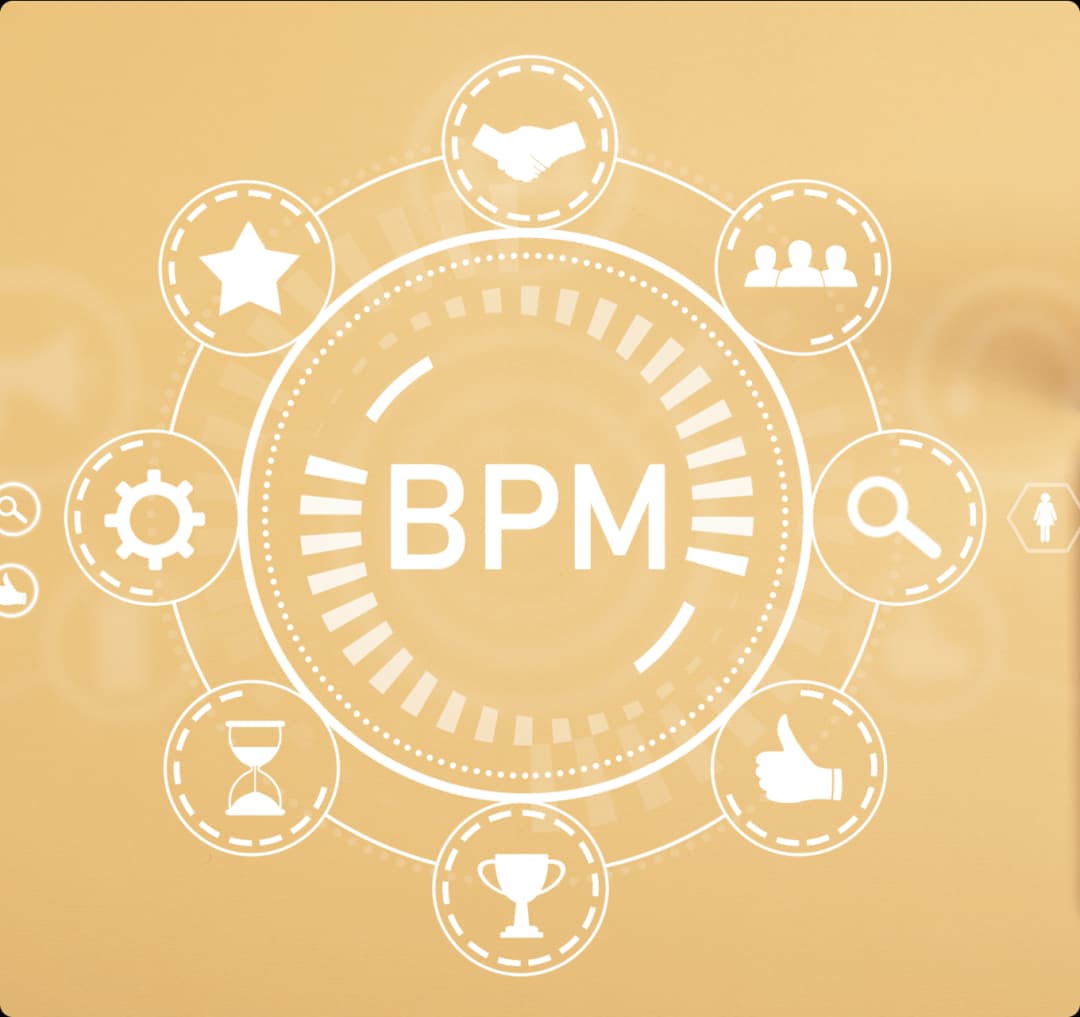 Expert and Advanced BPM Solutions