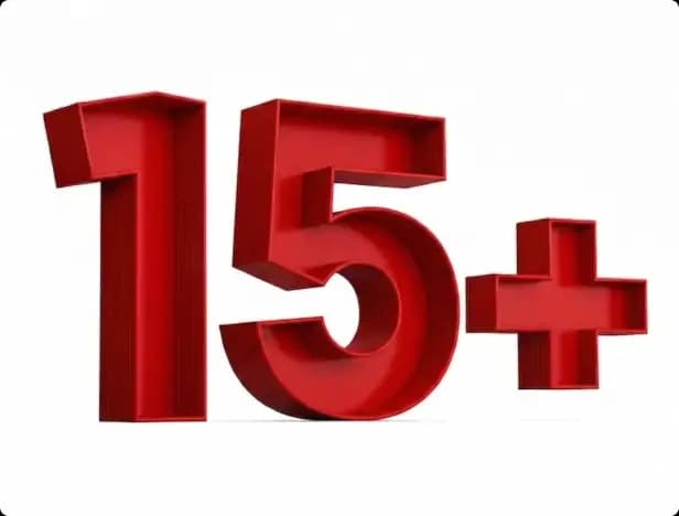 15+ Years of Expertise in F&A and BPM